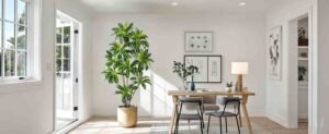 Bright modern room with a large indoor plant, wooden desk, chairs, wall art, and natural light.